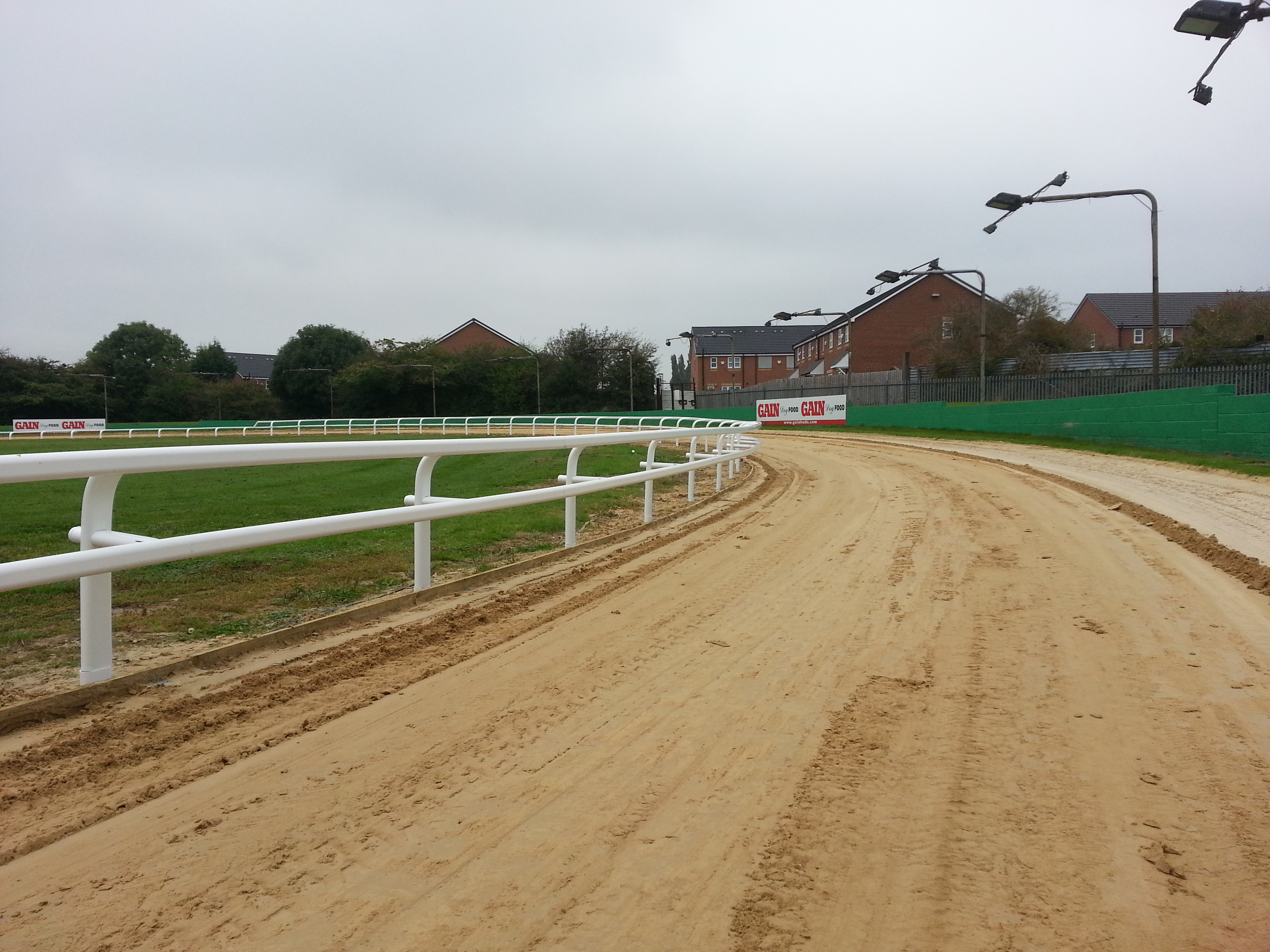 Doncaster Greyhound