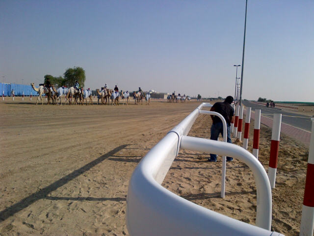 Dubai Camel Track