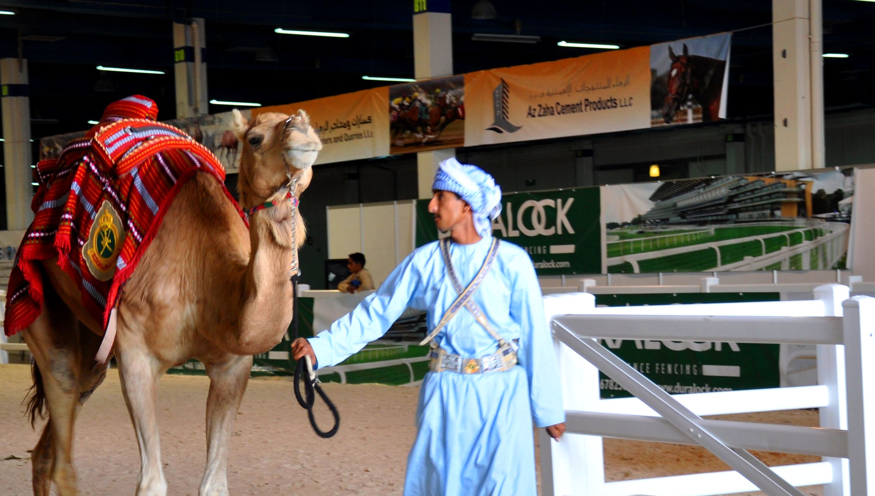 horse and camel fencing