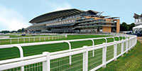Equestrian fencing