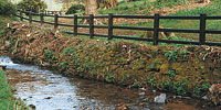 Post and rail fencing
