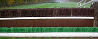jump on a racecourse
