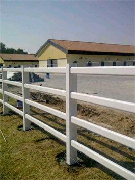 al-wathba-paddock