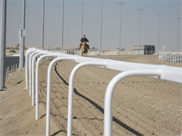 Camel race in Qatar