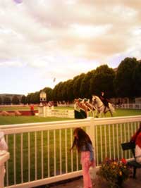 fence and show jumper